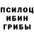 Галлюциногенные грибы Psilocybine cubensis Sitsongpeenong Muaythai