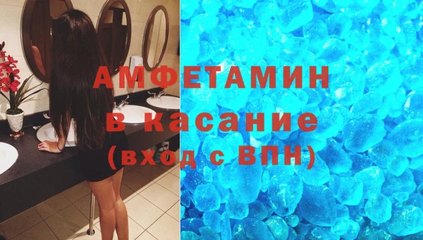 индика Богданович