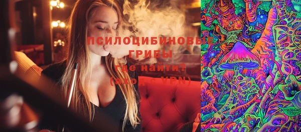 твердый Сосновый Бор