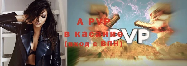 дживик Богородск
