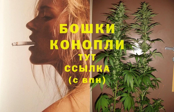 соль ск Бородино